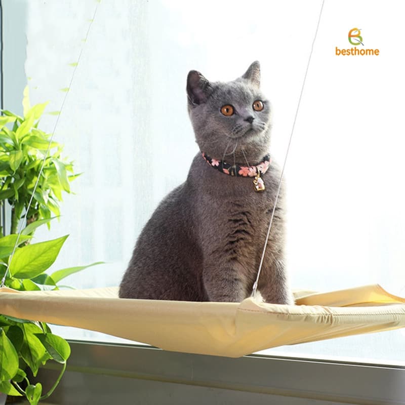 Hamak dla kota na okno