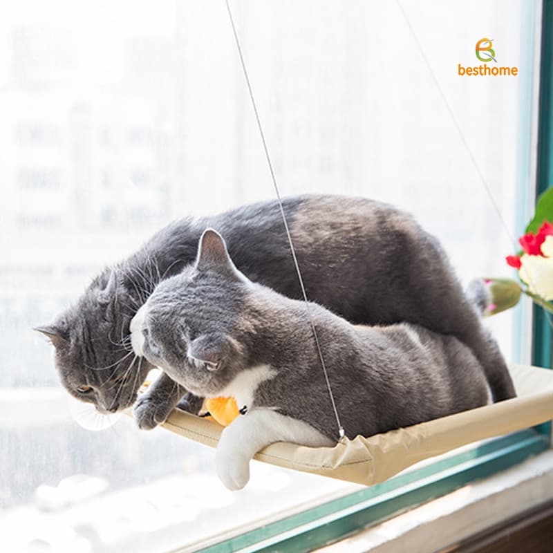 Hamak dla kota na okno