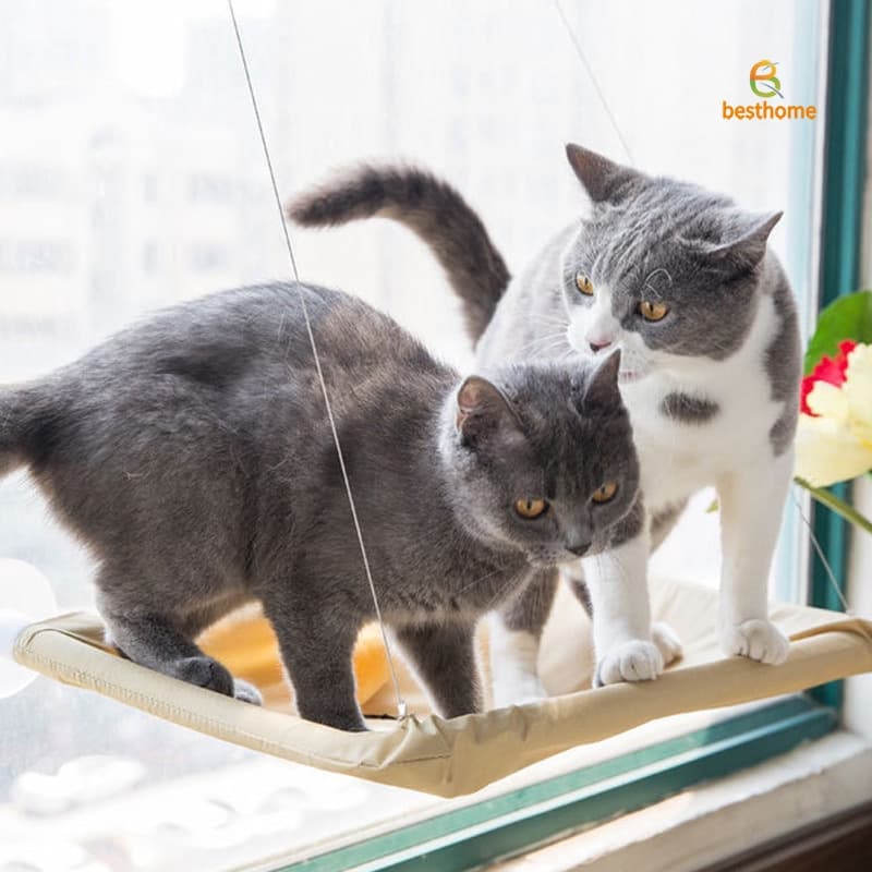 Hamak dla kota na okno