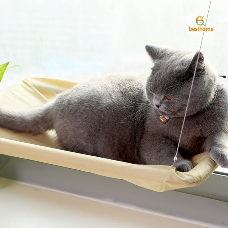 Hamak dla kota na okno