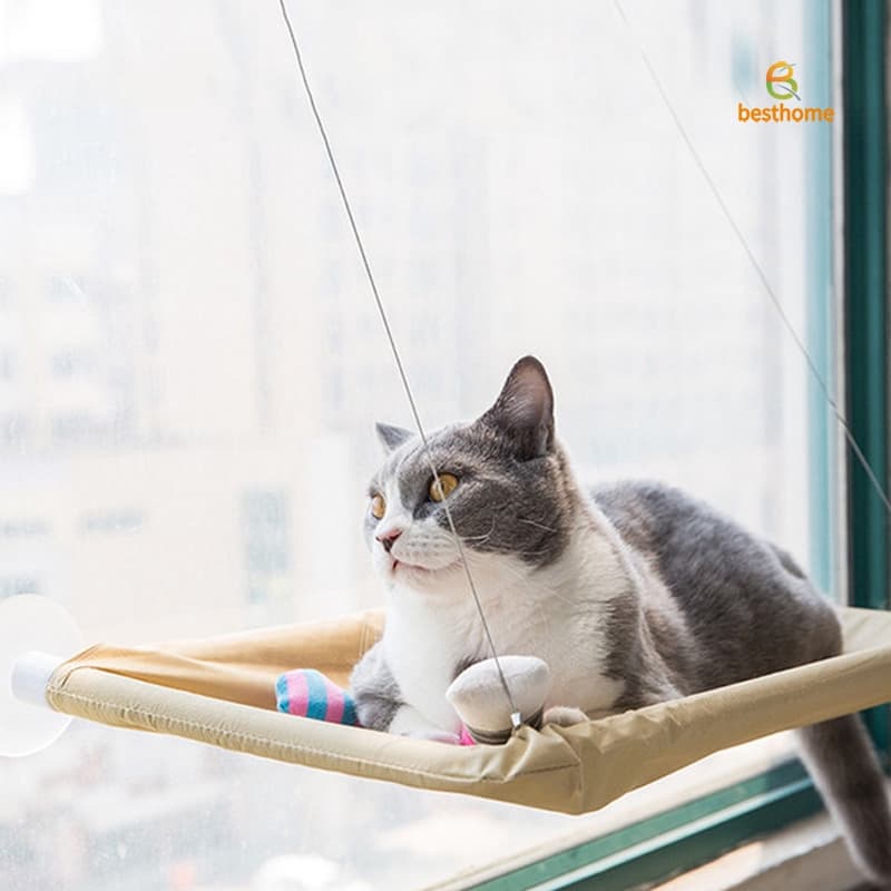 Hamak dla kota na okno