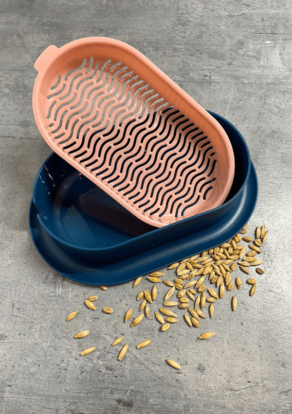 Catdeli - pojemnik do uprawy kociej trawki + GRATIS