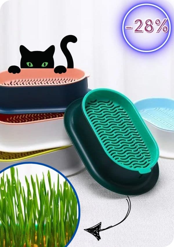 Catdeli - pojemnik do uprawy kociej trawki + GRATIS
